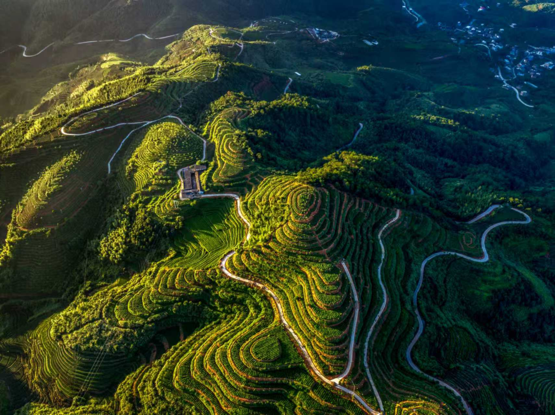 地理标志管理机构_地理标志行政执法案例_